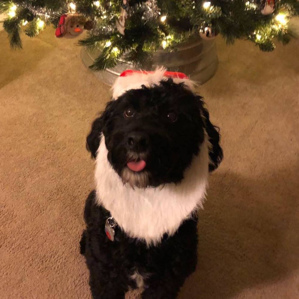 Meet your Posher, Angela